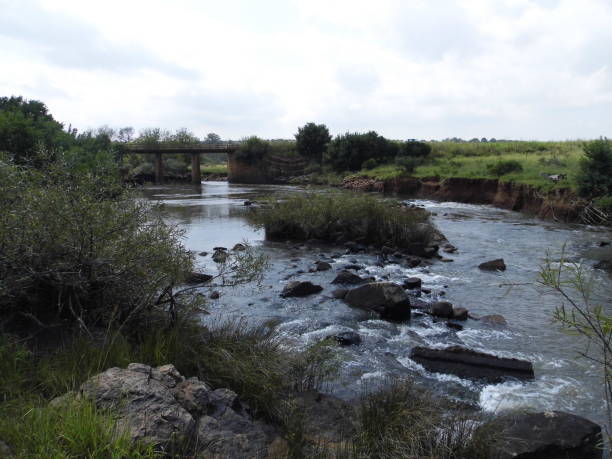 istock Steelpoort River 1159555405