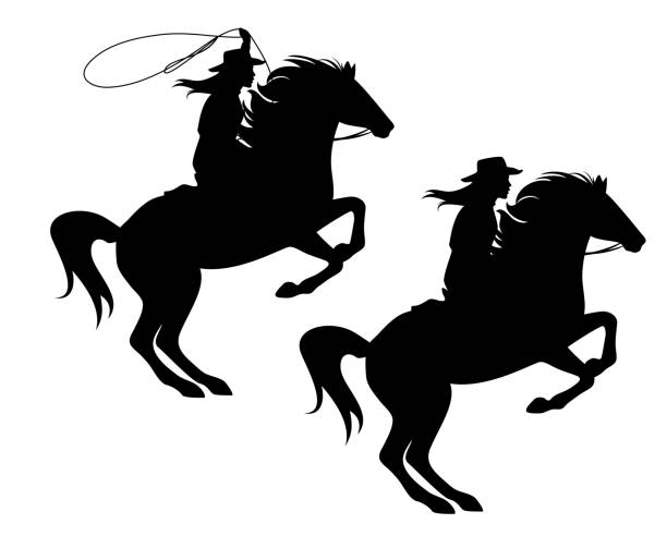 cowgirl and rearing up horse black vector silhouette cowgirl riding a horse and throwing lasso - rearing up stallion and woman cowboy black vector silhouette design cowgirl stock illustrations