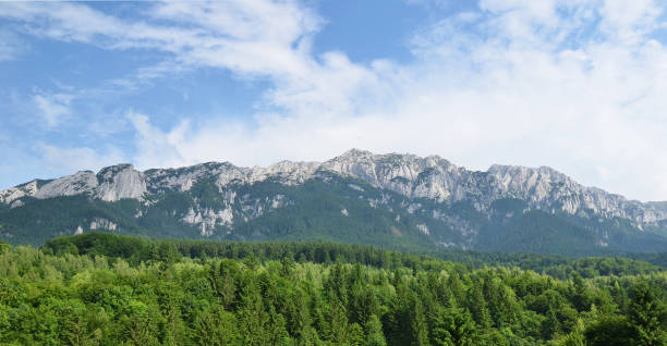 Limestone mountain ridge of Piatra Craiului Mountains stock photo