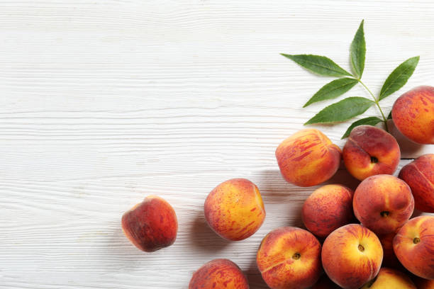 istock Minimalistic bacground with ripe juicy nectarine peaches. 1159560406