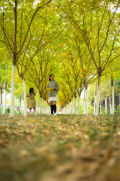 two sisters in the forest picking leaves