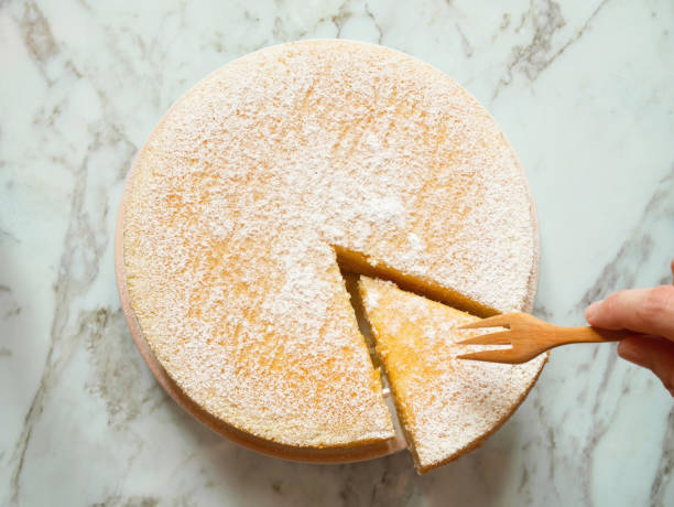 istock Homemade yogurt cake with icing sugar 1159565720