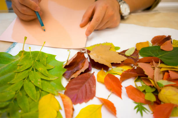 istock drawing picture with leaves 1159566967