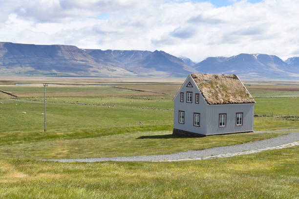 istock Grass-covered Houses in Glaumbaer in Iceland 1159567624