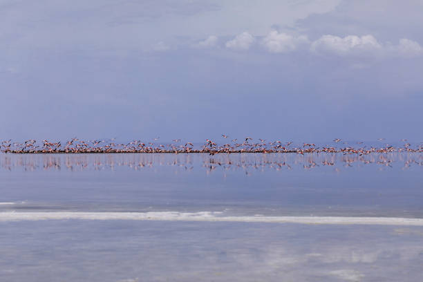 istock Turkey's most beautiful scenic lakes 1159569791