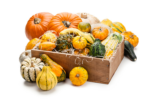 Front view of several multi colored decorative gourds arranged in a wooden crate isolated on white background. Some gourds are out of the crate. Predominant colors are orange, yellow and green. High key DSRL studio photo taken with Canon EOS 5D Mk II and Canon EF 100mm f/2.8L Macro IS USM.