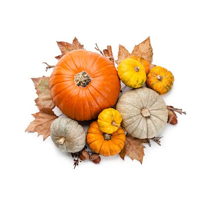 Top view of a ripe organic pumpkins heap and fallen leaves shot on white background. Useful copy space available for text and/or logo. Predominant colors are orange, brown and white. High key DSRL studio photo taken with Canon EOS 5D Mk II and Canon EF 100mm f/2.8L Macro IS USM.