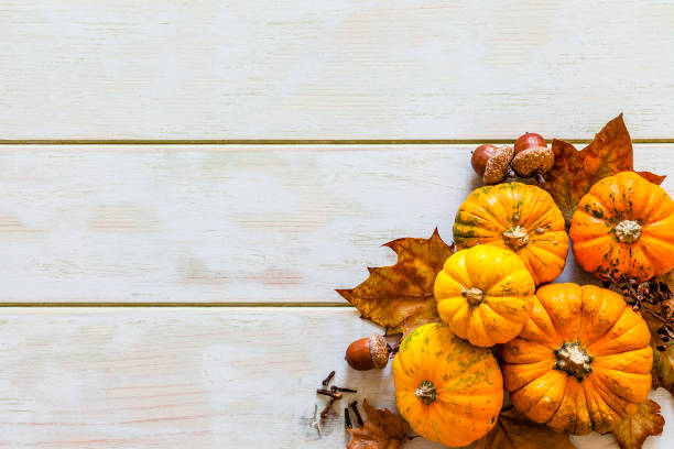 istock Thanksgiving day or autumn gourds holiday background 1159571071