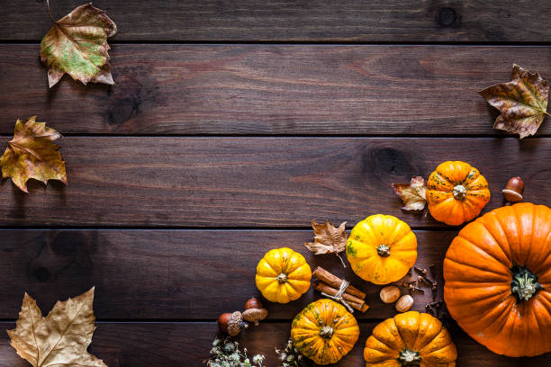 istock Thanksgiving day or autumn gourds holiday background 1159571273