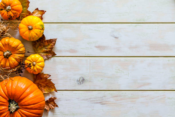 giorno del ringraziamento o sfondo delle vacanze autunnali - pumpkin autumn october squash foto e immagini stock