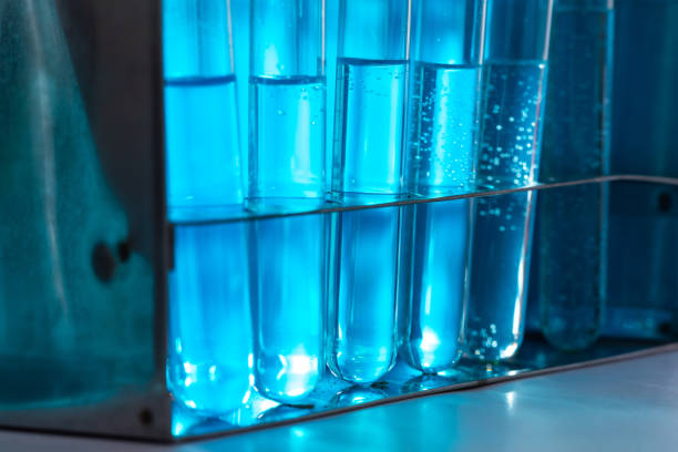 istock Photobioreactor in lab algae fuel biofuel industry. Algae fuel o 1159572238
