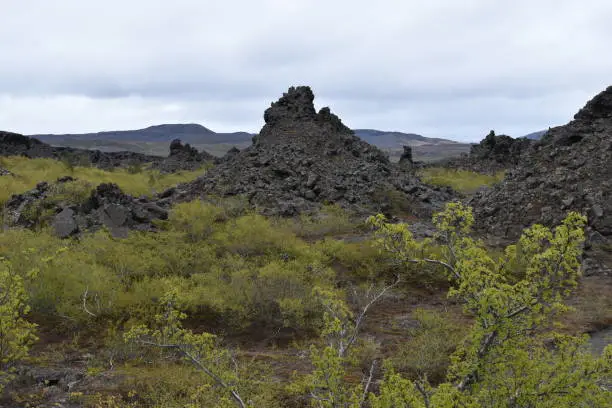 Photo of The lava field Dimmu Borgir in Myvatn, Iceland