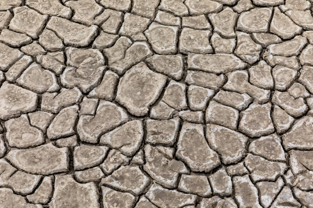 réchauffement de la planète et sol - global warming cracked dirt earth photos et images de collection