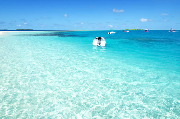 istock Tropical seascape of Maldives 1159575002