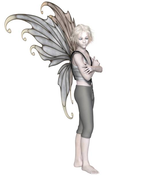 istock Winter Fairy Boy 1159576850