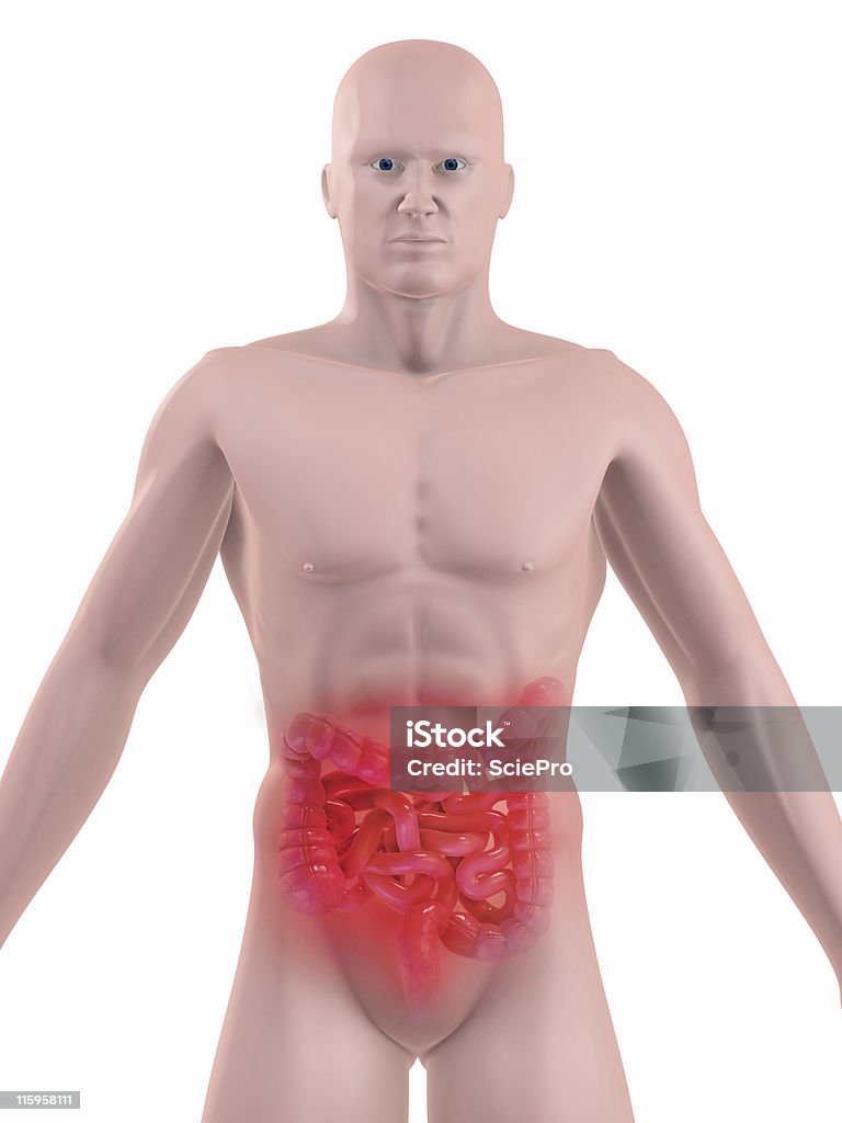 bellyache 3d rendered bellyache illustration Abdomen Stock Photo