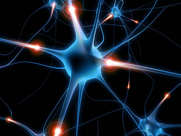 istock A computer images of a blue active neurons 115958120