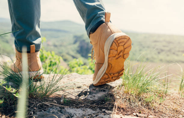istock Hiking in the mountains 1159582729