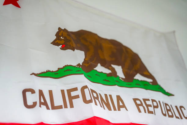 istock California Republic Flag 1159584546