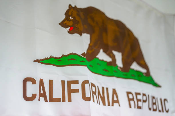 istock California Republic Flag 1159584549
