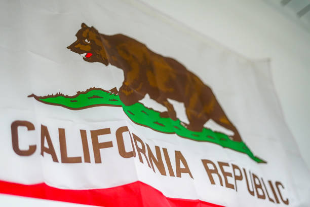 istock California Republic Flag 1159584550
