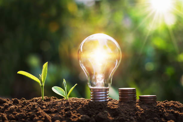 istock lightbulb with tree and coins on soil sunshine background concept saving energy and finance 1159585677