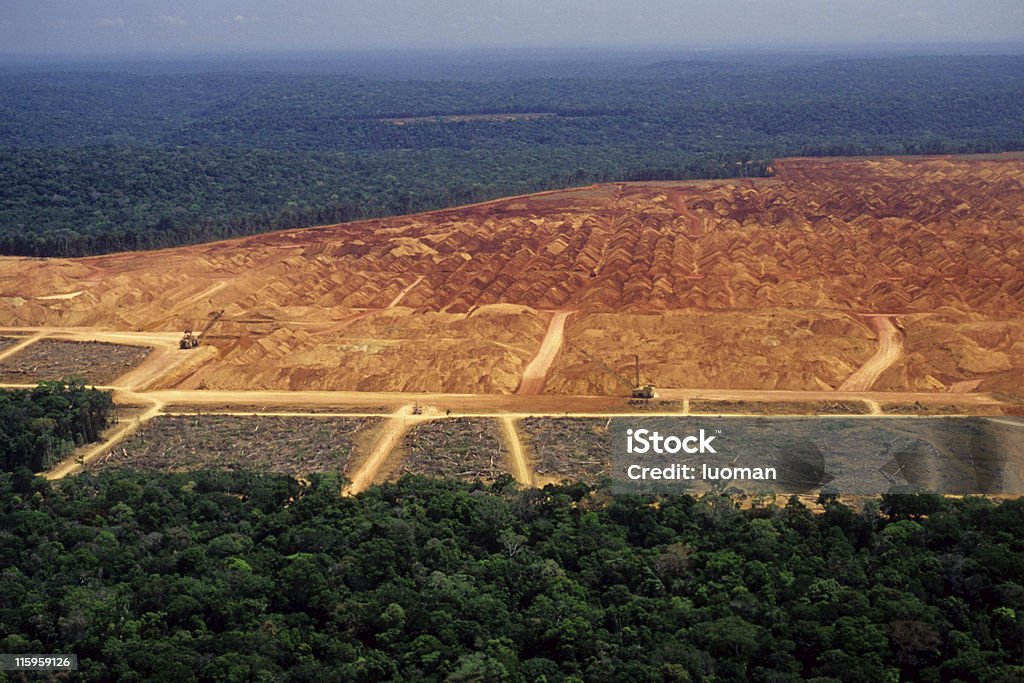 Deforestation in the Amazon An industry in the middle of the Amazon Deforestation Stock Photo