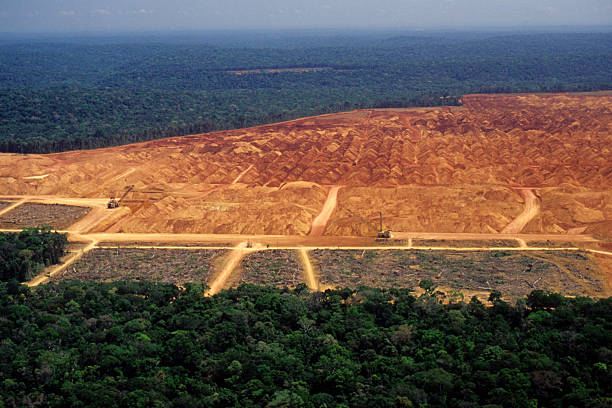 Deforestation in the Amazon An industry in the middle of the Amazon lumber industry photos stock pictures, royalty-free photos & images