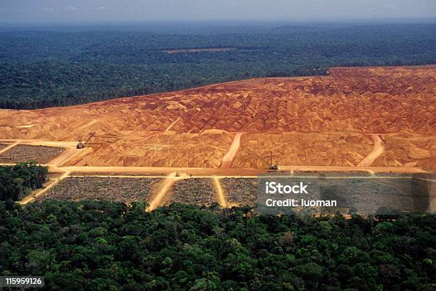 Deforestation In The Amazon Stock Photo - Download Image Now - Deforestation, Amazon Rainforest, Amazon Region