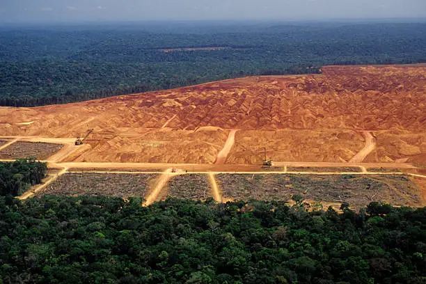 An industry in the middle of the Amazon