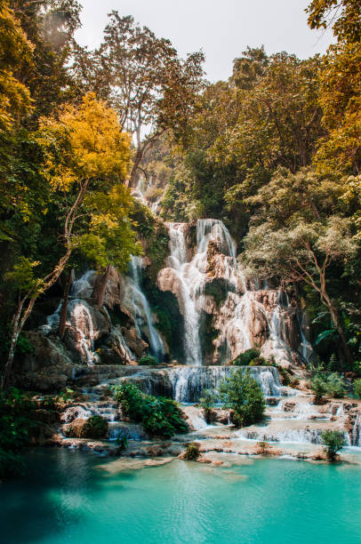 istock Exotic blue pond Kuang Si waterfall among rain forest in Luang Prabang 1159592032