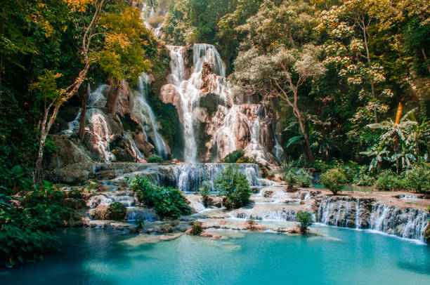 istock Exotic blue pond Kuang Si waterfall among rain forest in Luang Prabang 1159592047