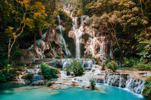 istock Exotic blue pond Kuang Si waterfall among rain forest in Luang Prabang 1159592072