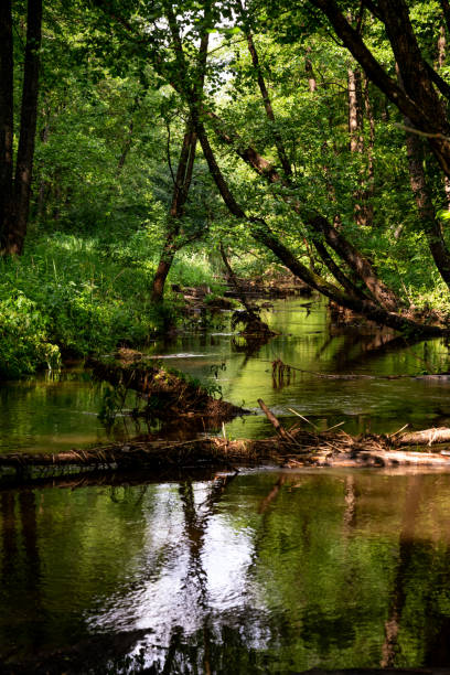 istock Calm river and green nature. Wallpaper scenery 1159593771