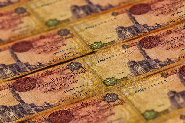 istock Money of Egypt. Egyptian pound background. One pound 1159595016