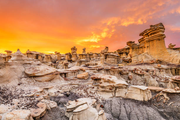 istock Bisti/De-Na-Zin Wilderness, New Mexico, USA 1159603364
