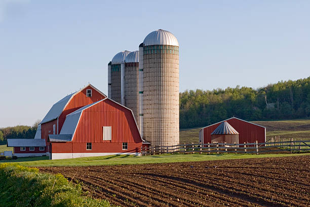 Red Barn in field Red Barn in Spring in the Morning silo photos stock pictures, royalty-free photos & images