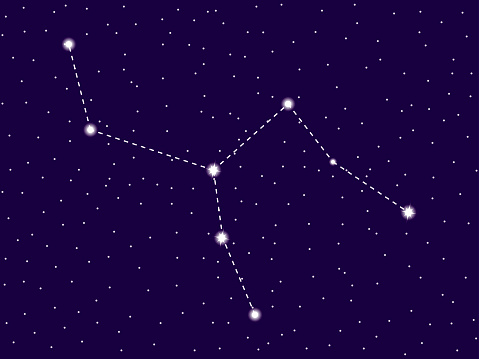 Leopard Constellation Camelopardalis Constellation Starry Night Sky Cluster Of Stars And ...