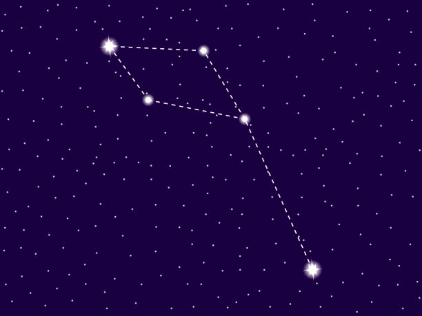 Delphinus constellation. Starry night sky. Cluster of stars and galaxies. Deep space. Vector illustration Delphinus constellation. Starry night sky. Cluster of stars and galaxies. Deep space. Vector illustration constellation delphinus stock illustrations