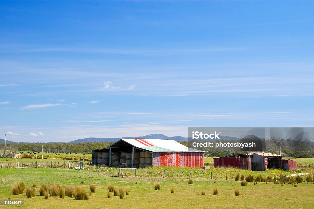 Idílico Cena Rural com velho vermelho Celeiro Tasmania Australia - Royalty-free Austrália Foto de stock