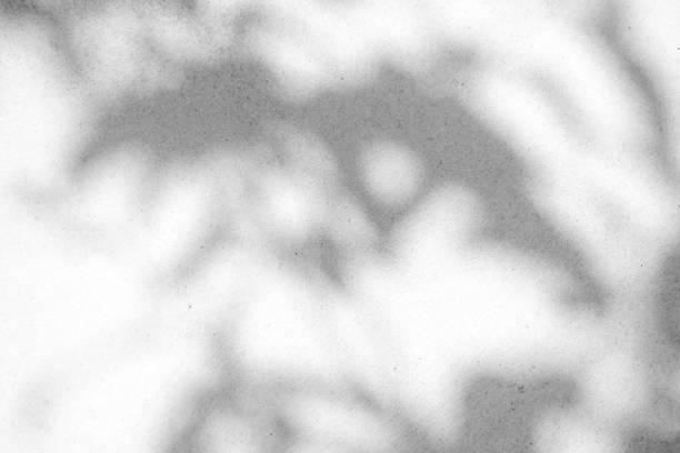 istock abstract background texture of shadows palm leaves on a concrete wall 1159611805