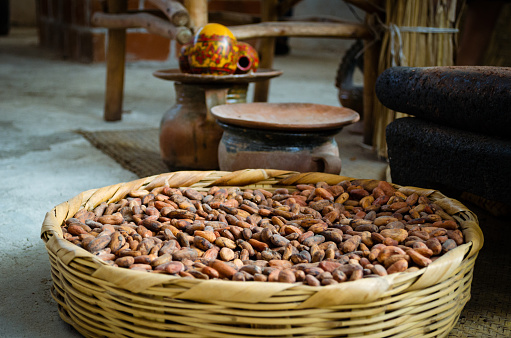 Organic raw cacao in Guatemala