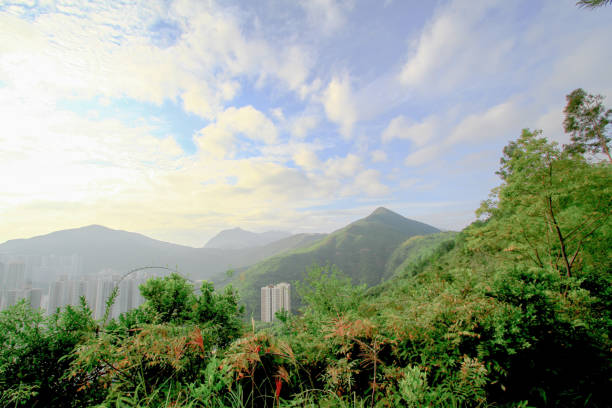 istock Ap Tsai Shan at sai kung hk 1159615271