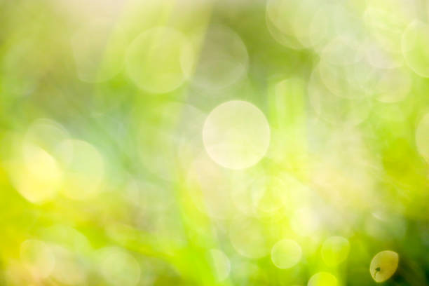 istock blur grass and dew drop fall on green leaves 1159615697