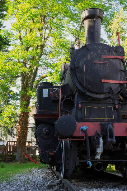 Vintage steam locomotive in fogy night.