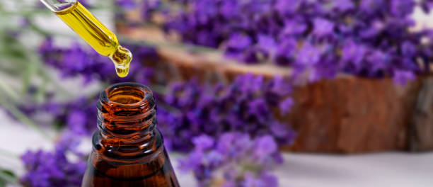istock lavender essential oil dripping from dropper over the bottle. copy space 1159618402