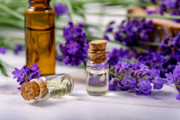 istock lavender essential oil bottles beauty care treatment 1159618461