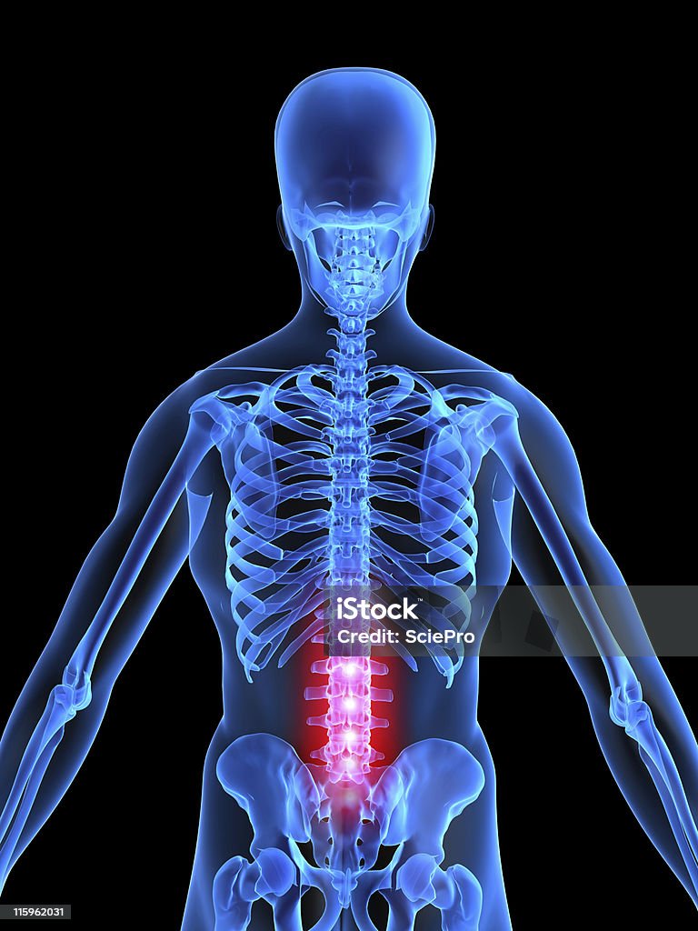 A dor lombar - Foto de stock de Anatomia royalty-free