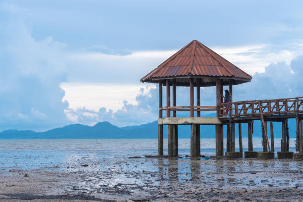 istock wooden bridge along the black beach. 1159621119