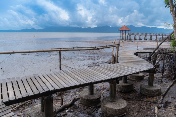 istock wooden bridge along the black beach. 1159621191